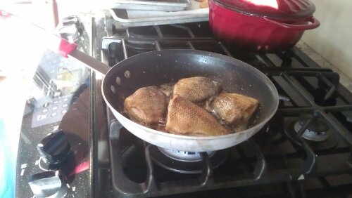 Cooking blue gills